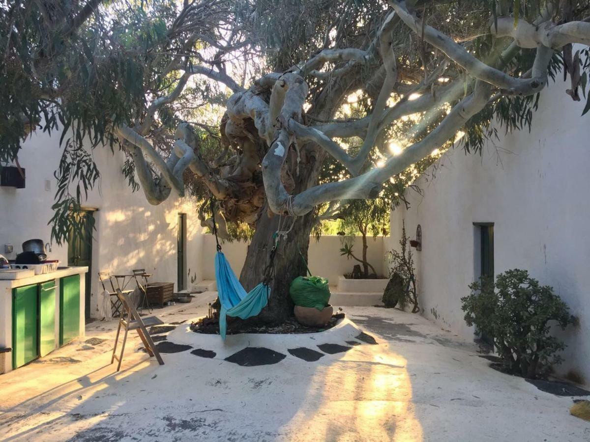 Patio II Studio At Finca La Asomada  Kültér fotó